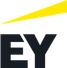 EY online aptitude tests